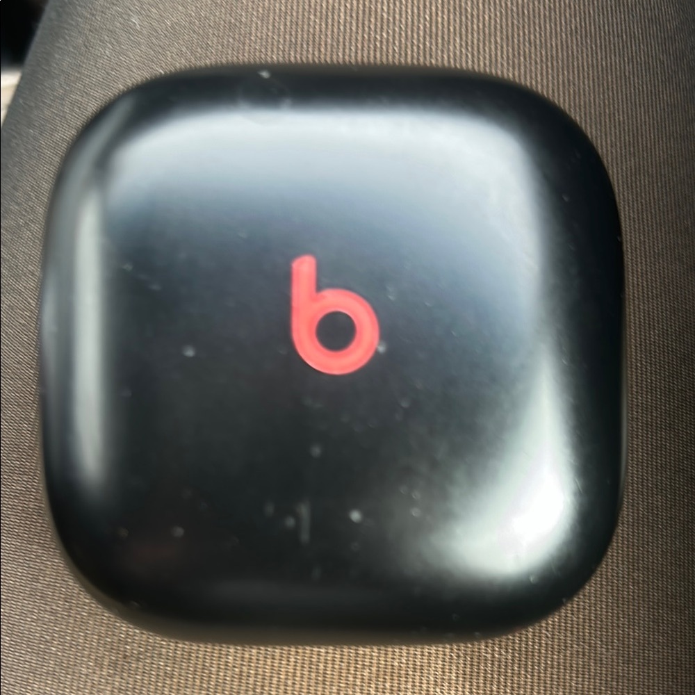 Beats Black Earbuds and Case
